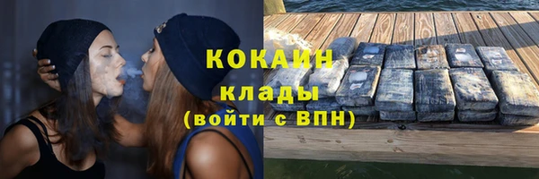 стаф Козельск