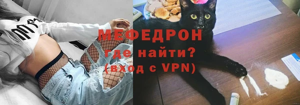 стаф Козельск