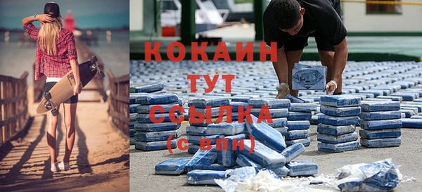стаф Козельск