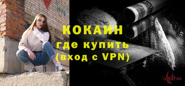 крисы Козловка
