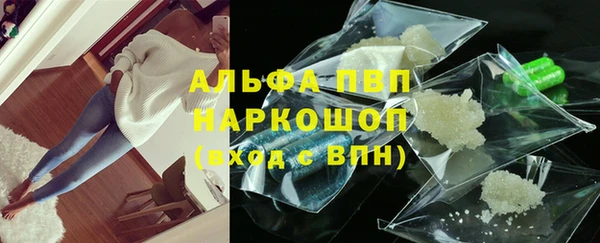 стаф Козельск