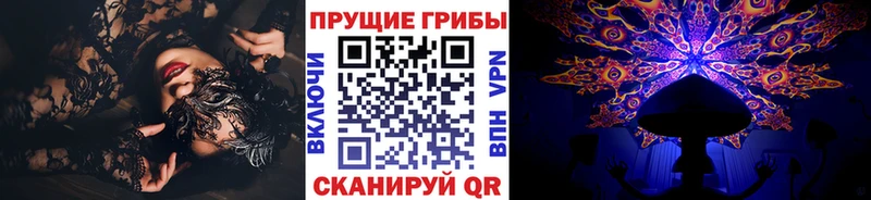 Псилоцибиновые грибы Psilocybe  Кораблино 
